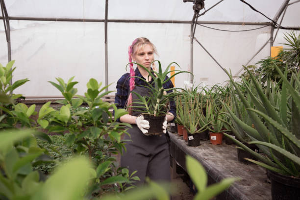 young woman with pink hair working in big professional greenhouse of garden mall