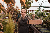 Woman in apron staands in vegetable greenhouse with sign board in hands