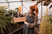 Woman in apron holds wooden sign with space for text standing in  greenhouse