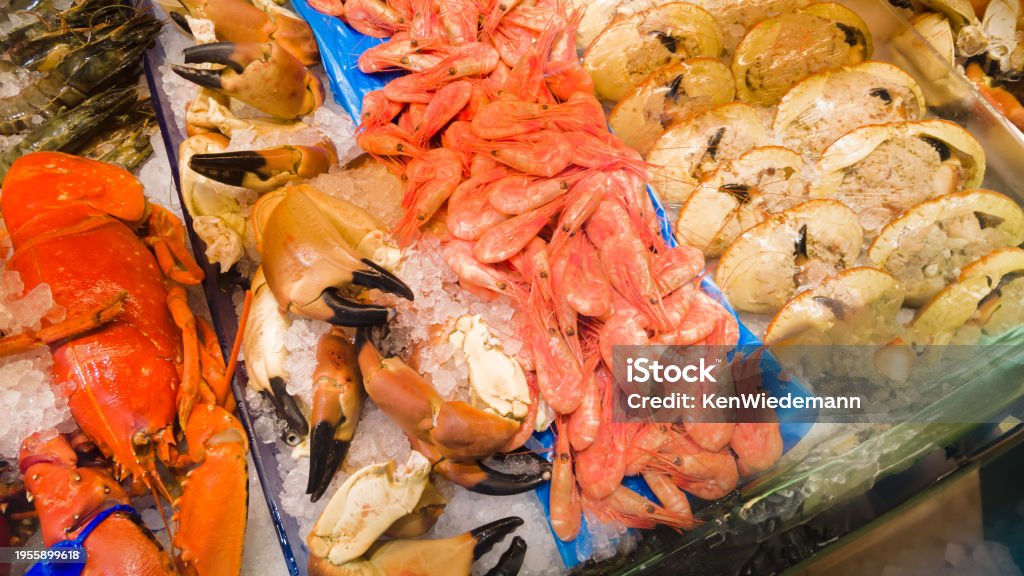 Свежие норвежские морепродукты - Стоковые фото Lobsters Claw роялти-фри