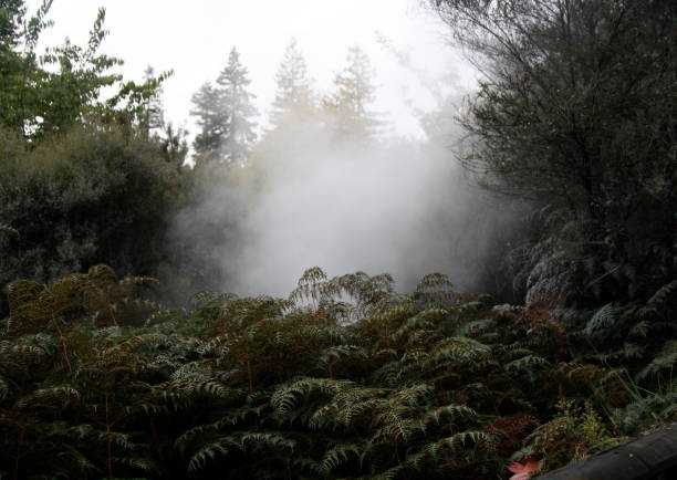 Fumaroles in Rotorua, New Zealand