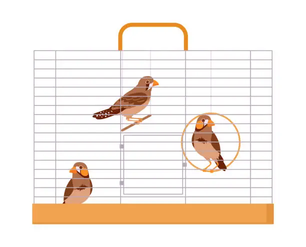 Vector illustration of Exotic birds in cage. Cartoon iron wire bird cage, domestic cute finches flat vector illustration. Decorative birds sitting in cage