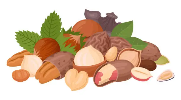 Vector illustration of Nuts and seeds handful. Raw seeds bunch, almond, peanut, cashew and walnut mix, vegetarian diet organic mix flat vector illustration. Organic nuts mix