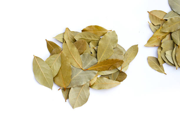 istock Dried bay leaves on white background. 1955960873