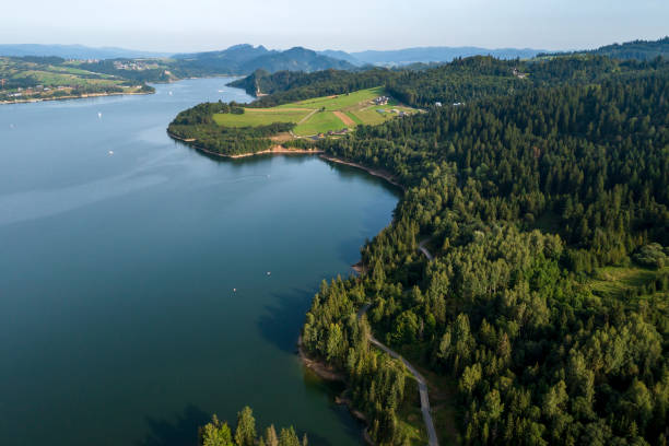 istock Lakes and Forests, Aerial View 1956045294