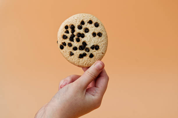 istock Unrecognizable person (hand in frame) holding a cookie with chocolate. Studio photo 1956059763
