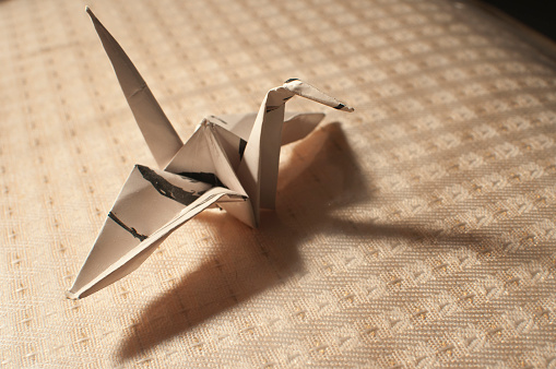 Close-up of origami crane, backlit with contrast and shadow