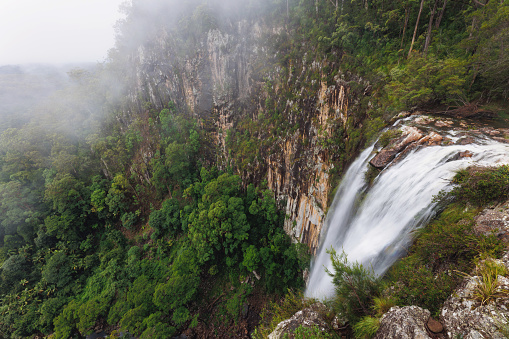 Waterfall flowing over cliff into the misty subtropical rainforest at Minyon Falls near Byron Bay, Australia