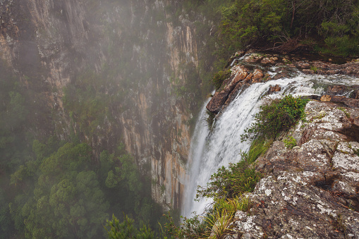 Waterfall flowing over cliff into the misty subtropical rainforest at Minyon Falls near Byron Bay, Australia