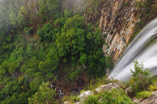 View of waterfall flowing over cliff into subtropical rainforest at Minyon Falls near Byron Bay, Australia