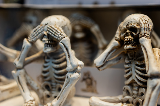 This captivating photograph showcases two skeletal models in a human-like pose of contemplation, creating a scene that blurs the line between education and art. The skeletal figures appear to be engaging in a silent conversation, pondering the skeletal companion in the background, all set against the neutral backdrop of a classroom or museum.