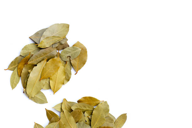 istock Dried bay leaves on white background. 1956109385