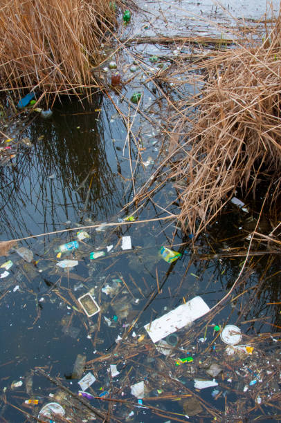 istock Environmental problem, garbage. Contamination with debris and plastic of natural reservoirs. Ukraine 1956111272