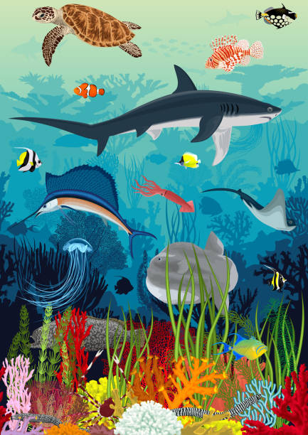 vector underwater coral reef with animals, seamless pattern. undersea bottom texture - grouper点のイラスト素材／クリップアート素材／マンガ素材／アイコン素材