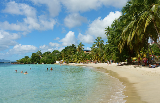 Martinique, Sainte-Luce - November 28, 2023: Swimmers and beachgoers on the stunning beach of Anse Figuier, located on the southern part of the caribbean island of Martinique.