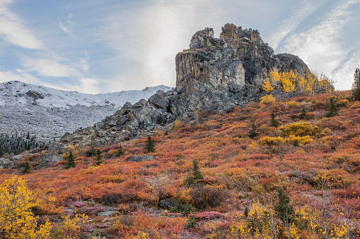 The alpine and subalpine tundra at higher elevations gleam with fall color by mid- to late-August. The taiga at lower elevations is aglow in reds by early September, a time when the aspen and balsam poplar near the park entrance turn brilliant yellow and gold.