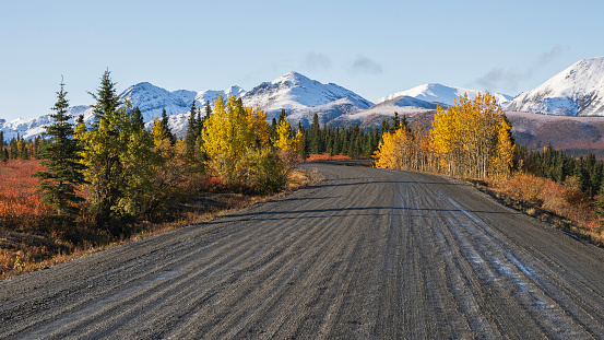 The alpine and subalpine tundra at higher elevations gleam with fall color by mid- to late-August. The taiga at lower elevations is aglow in reds by early September, a time when the aspen and balsam poplar near the park entrance turn brilliant yellow and gold.