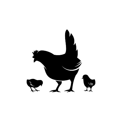 hen and chicks silhouette illustration