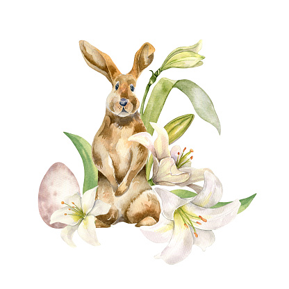 Easter bunny, egg and white flowers. Easter illustration isolated on white background. Watercolor hare and gentle flowers hand drawn. Painted lily, primrose for design greeting card, decoration.