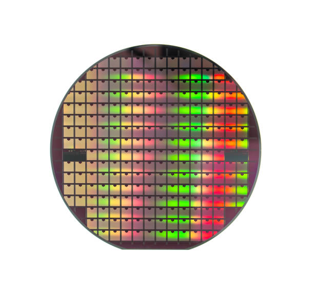 istock Silicon wafer with chips isolated on white background 1956453306