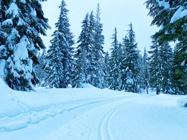 istock Ski Tracks In The Snow 1956530252