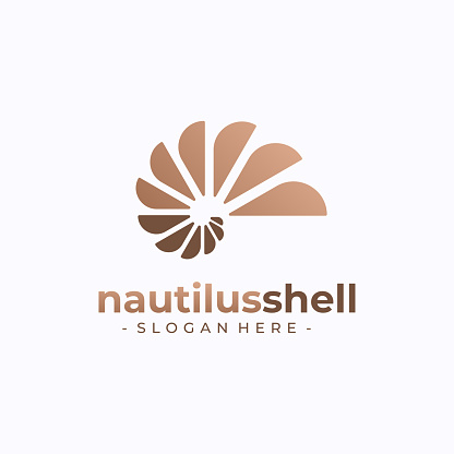 Nautilus design vector. Seashell concept design template.