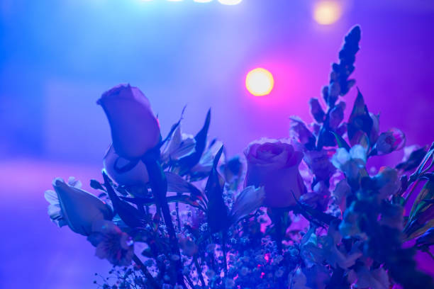 Floral arrangements back lit by party lights. Blurred background, celebration concept.