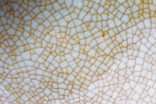 The texture of the porcelain wares