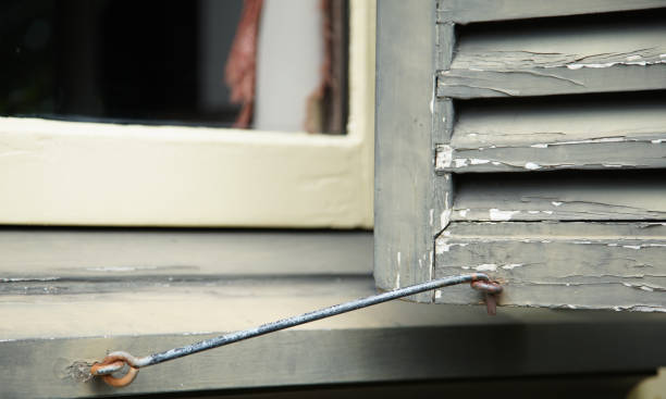 istock windows shutters in the house 1956633902