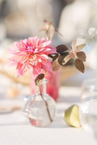 istock Dahlia in vase 1956730062