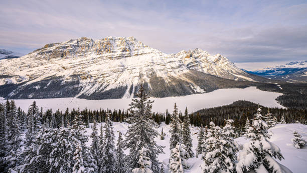 istock Peyto Lake 1956741995