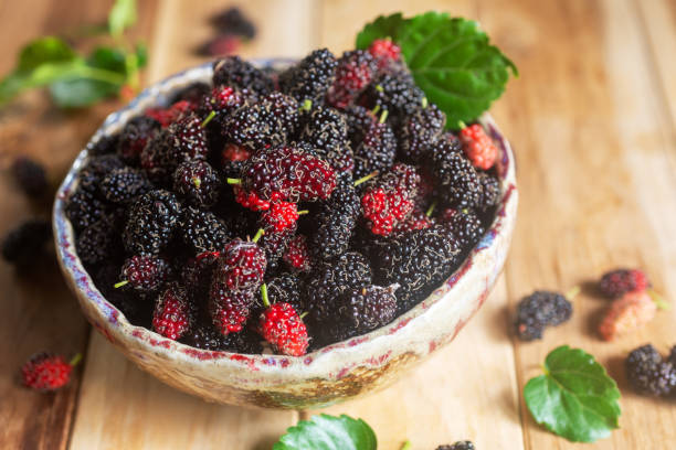 istock fresh mulberry in ceramic bowl. 1956742183
