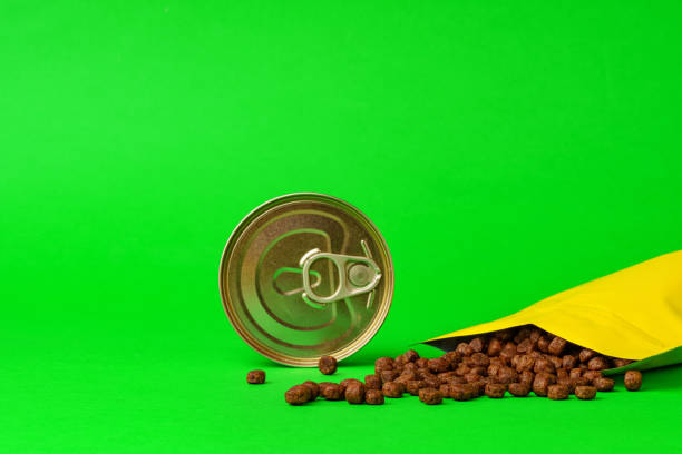 Cat food on green background in studio close up