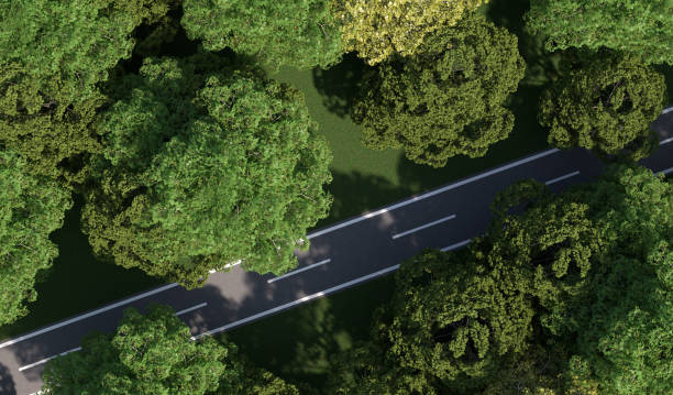 istock road through a wood landscape as top view - 3D Illustration 1956746857