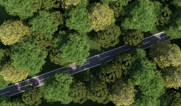 istock road through a wood landscape as top view - 3D Illustration 1956747372