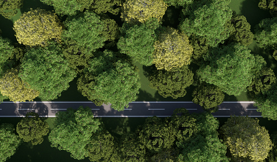 road through a wood landscape as top view - 3D Illustration