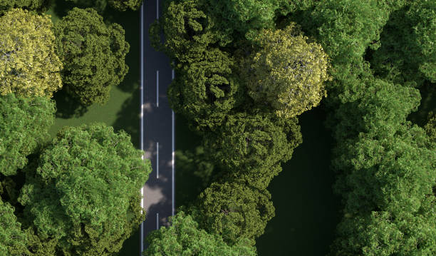 istock road through a wood landscape as top view - 3D Illustration 1956747377