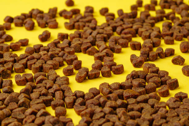 Dry cat food scattered on yellow background studio shot top view