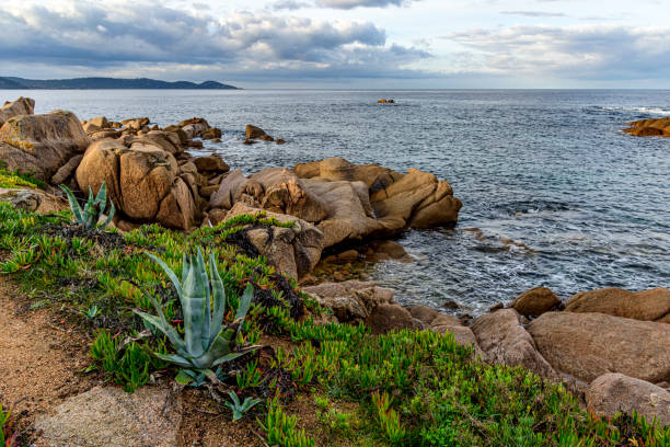 paysage du bord de mer en Corse du sud en hiver