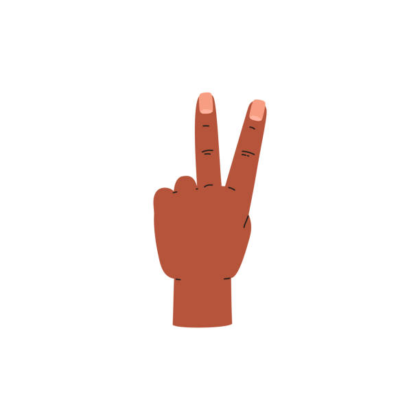 Hand Show 2 10+ Phalanx Second Stock Photos, Pictures & Royalty-Free Images - iStock