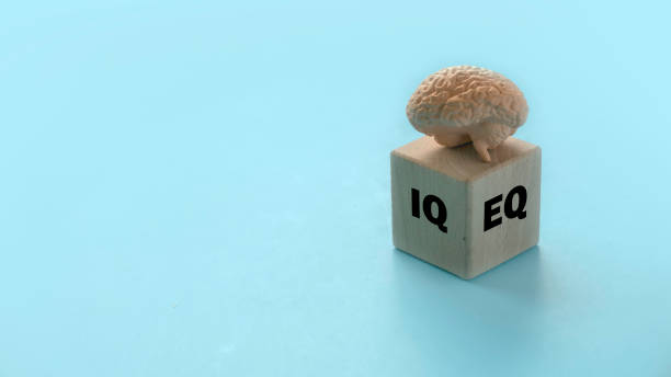 istock Human brain model over a wooden cube written with EQ and IQ. 1956826054