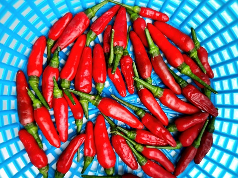 Red Chili in Blue Basket - food preparation.