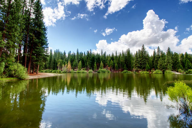 HDR shot of wooded shoreline at the Hume Lake in Sequoia & Kings Canyon National Park