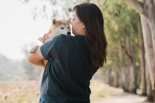 istock A woman holding her brown and white dog 1956899983