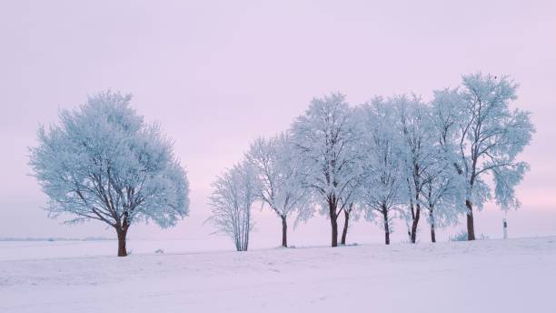istock Winter landscape with snow-covered trees 1956903281