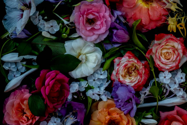 istock Multicolored flowers on a black background, top view. floral backdrop 1956955869