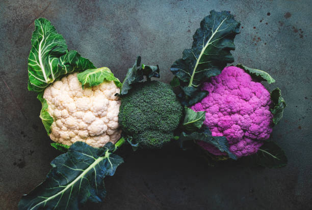 White and lilac cauliflower, broccoli cabbage from farm market on old rustic green table White and lilac cauliflower, broccoli cabbage from farm market on old rustic green table cruciferous vegetables stock pictures, royalty-free photos & images