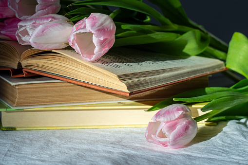 Bouquet of pink tulips and a stack of three books on a white sheet.