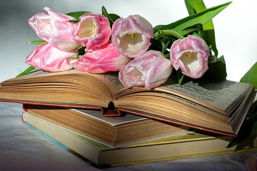 Bouquet of pink tulips and a stack of three books on a white sheet.