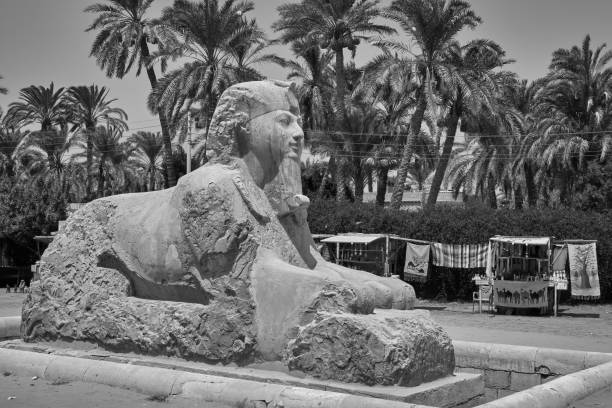 30+ The Alabaster Sphinx Of Memphis Egypt Stock Photos, Pictures